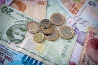 Çeşitli Türk Lira Banknotları ve Paraları. Türk Parası