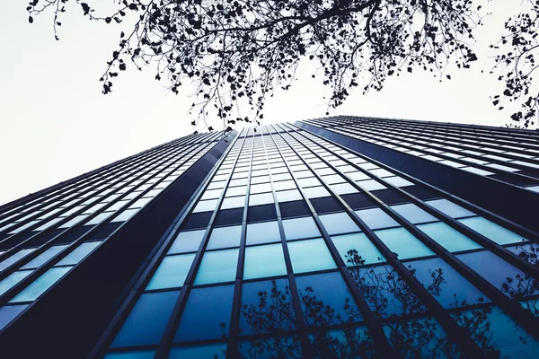 Exterior Building Modern Skyscrapers Business District — Stock Photo, Image