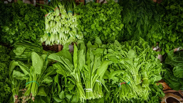 Herbes Fraîches Biologiques Maison Légumes Feuilles Fond — Photo