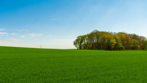 Idyllic Çayırlar Yuvarlanan Yeşil Alanlar Mavi Gökyüzü Arka Planda Beyaz — Stok fotoğraf