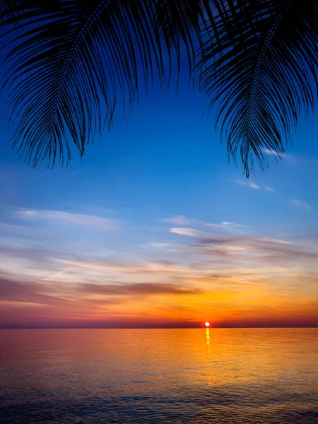 Silhouette Φοίνικες Όμορφο Ηλιοβασίλεμα Στην Τροπική Παραλία Της Θάλασσας — Φωτογραφία Αρχείου