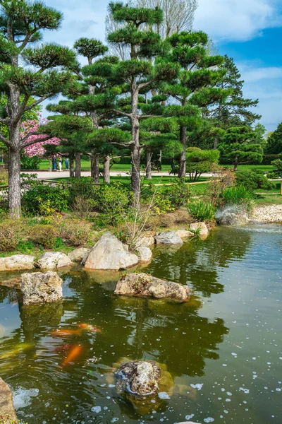 Ιαπωνικός Κήπος Στο Nordpark Ντίσελντορφ Γερμανία — Φωτογραφία Αρχείου