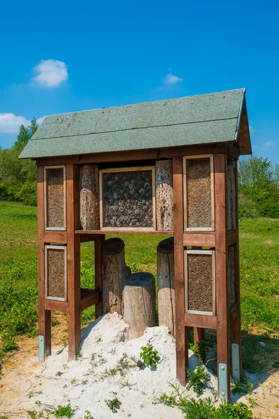Insect Hotel Green Hedge Gives Protection Wooden Insect House Shelter — Foto de Stock