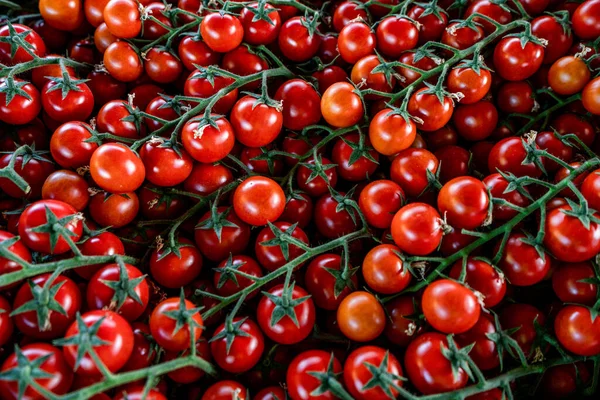 Pomodori Freschi Biologici Ciliegia Come Sfondo — Foto Stock