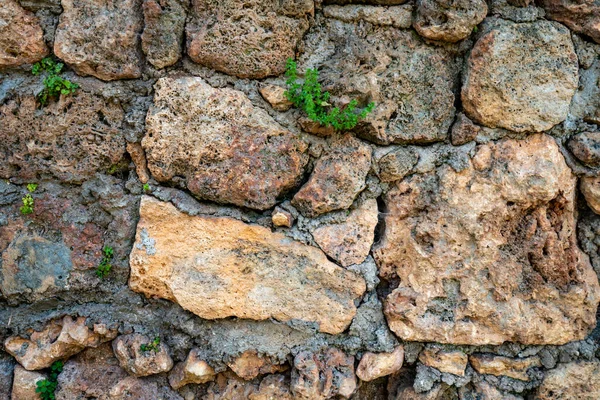 Naadloze Textuur Van Middeleeuwse Muur Van Stenen Blokken — Stockfoto