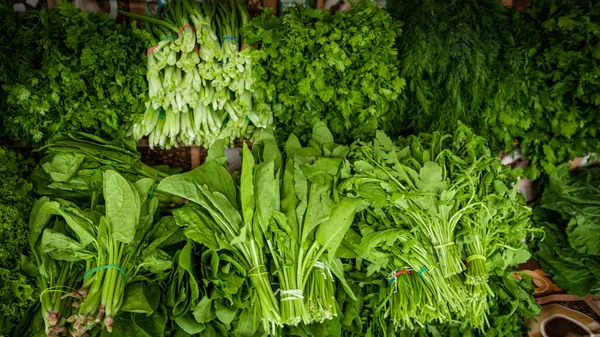 Čerstvé Organické Domácí Byliny Listová Zelenina Pozadí Stock Obrázky