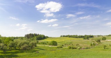 Yeşil kırsal yaz panoramik manzara
