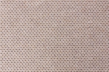 odun lifi kurulu makro arka plan