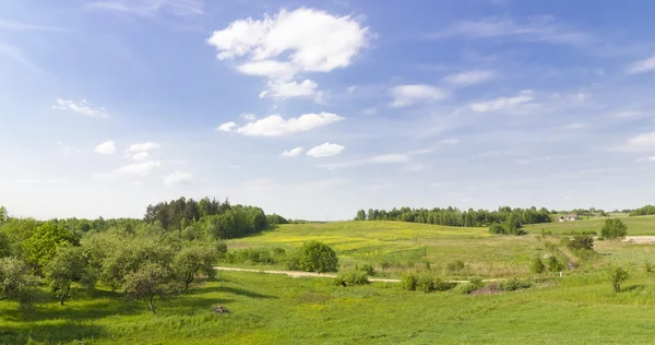 Green rural summer panoramic landscape — Stock Photo, Image