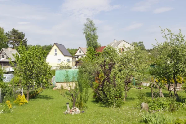 Spring in village — Stock Photo, Image