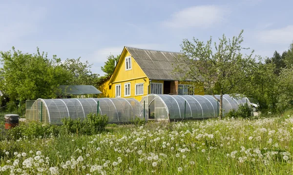Vegetabiliska landsbygden gård — Stockfoto