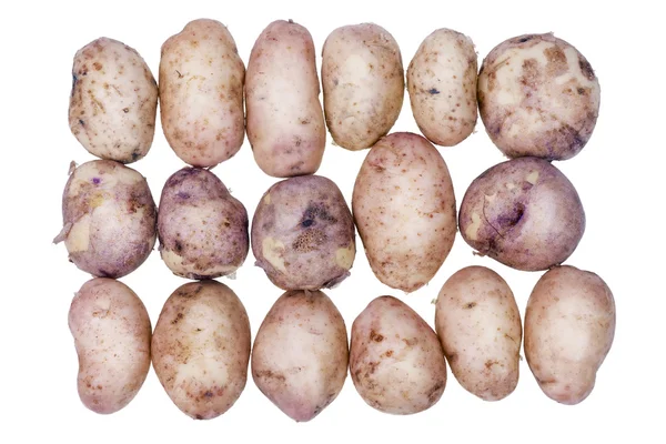 Potatoes with skins on the conveyor — Stock Photo, Image