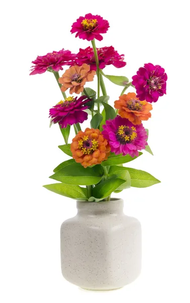 Minimalistic bouquet - mini magenta flowers — Stock Photo, Image