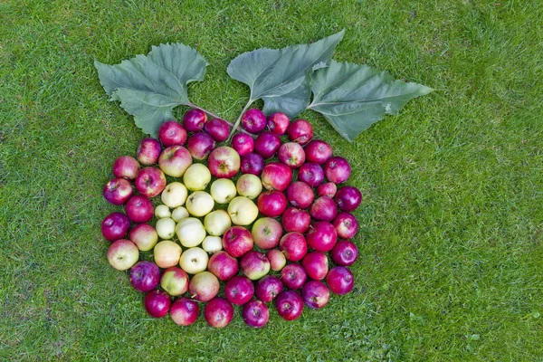 Apple z jablek — Stock fotografie