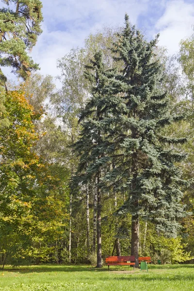 Panchine nel parco — Foto Stock