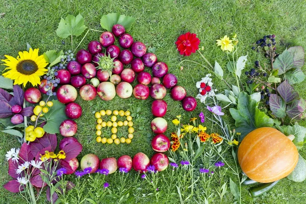 Autumn harvest concept — Stock Photo, Image