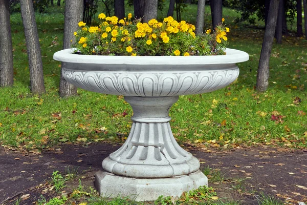 Vaso de mármore com calêndula francesa — Fotografia de Stock