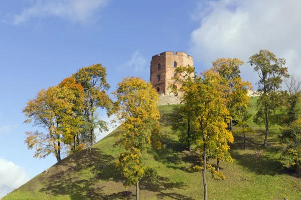 Vecchio antico castello — Foto Stock