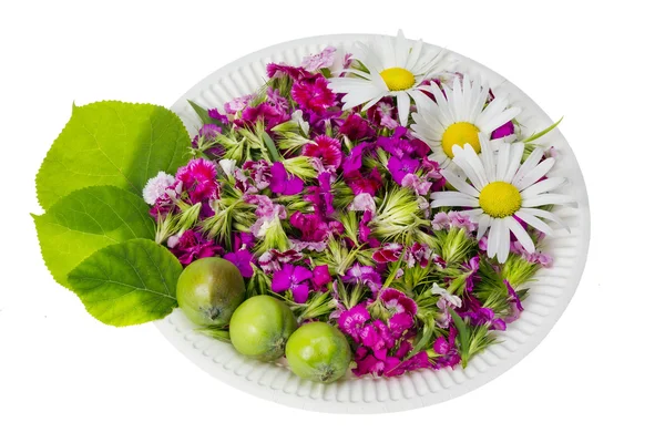 Květinové přírodní strava koncept — Stock fotografie