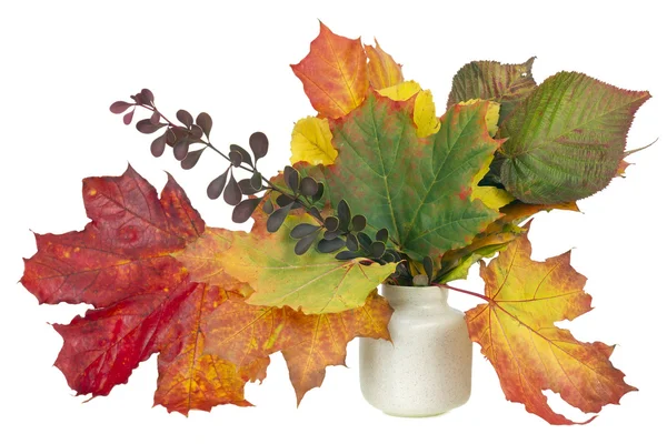 Minimalistic bouquet - autumn maple leaves — Stock Photo, Image