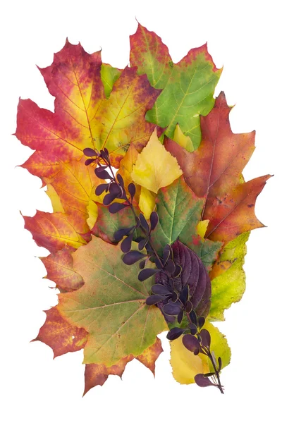 Autumn billbard concept — Stock Photo, Image