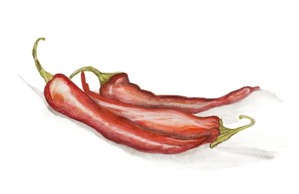 Red hot chili peppers farby na białym tle — Zdjęcie stockowe