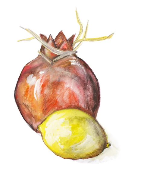Owoców granatu i cytryny — Zdjęcie stockowe