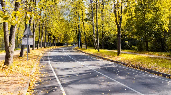 Herbststraße — Stockfoto