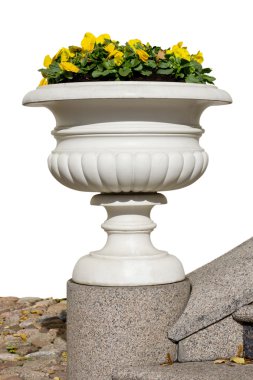 Marble vase with yellow pansies clipart