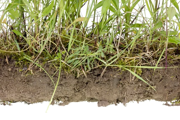 Fragmento aislado de suelo no cultivado —  Fotos de Stock