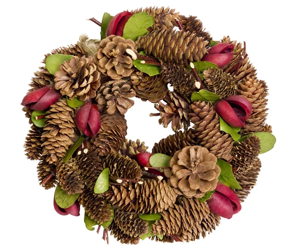 Kerstmis garland geïsoleerd — Stockfoto