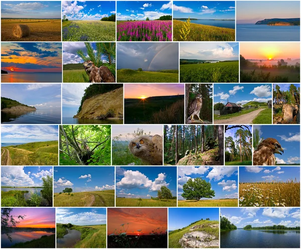 Zomertijd in Rusland collage — Stockfoto