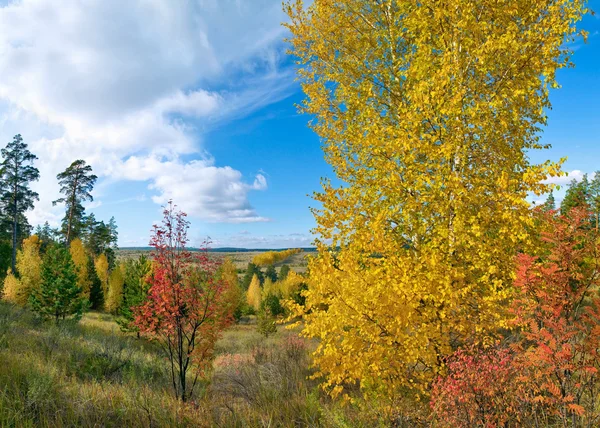 Ruské podzimní krajina — Stock fotografie