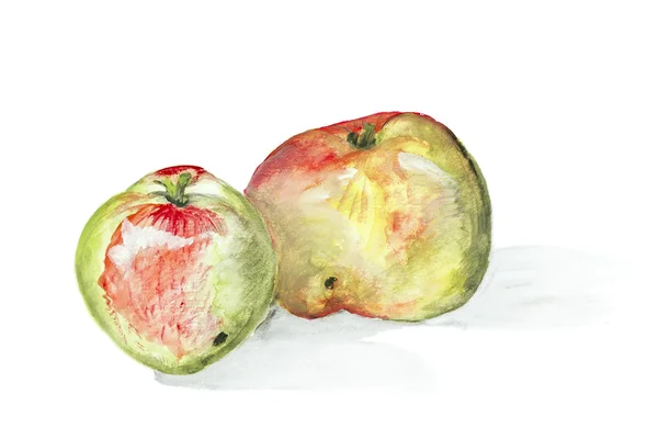 Robaczywe jabłka koncepcja na białym tle — Zdjęcie stockowe