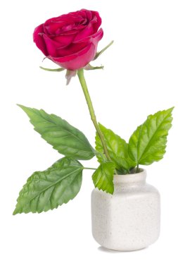 minimalist buket - mini kırmızı çiçek gül