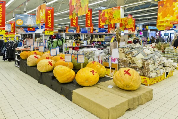 Festival de citrouilles énormes — Photo