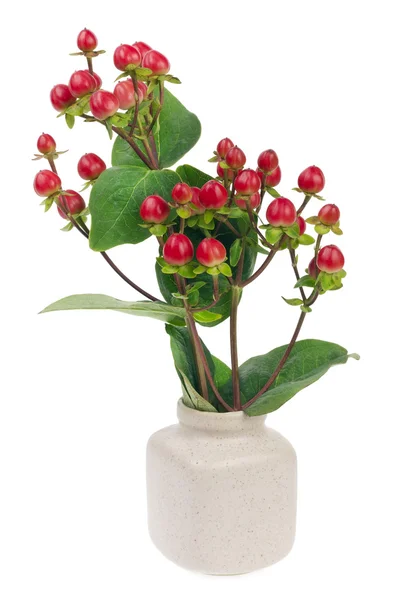 Minimalistic bouquet - mini red berries on branches — Stock Photo, Image