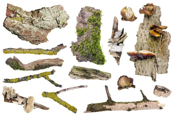 Conjunto de elementos florestais isolados — Fotografia de Stock