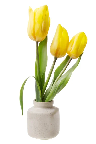 Minimalistisk bukett - mini gula tulpaner blommar — Stockfoto