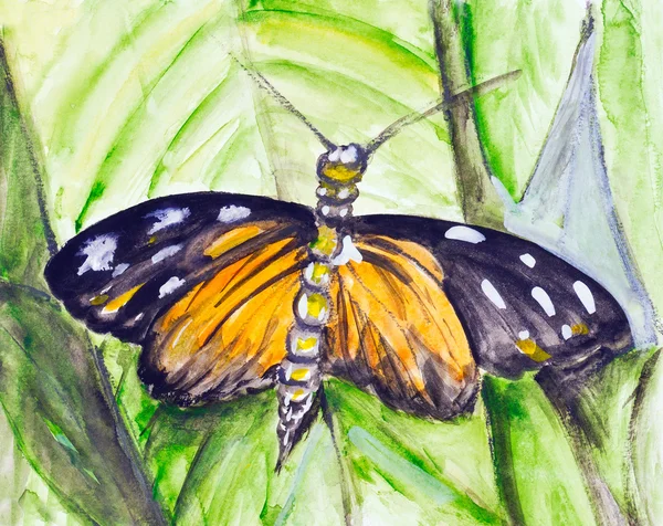 Akvarel tropických motýlů — Stock fotografie