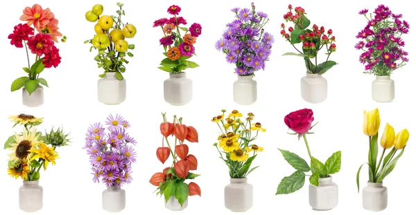 Minimalist çiçek buketleri seti — Stok fotoğraf