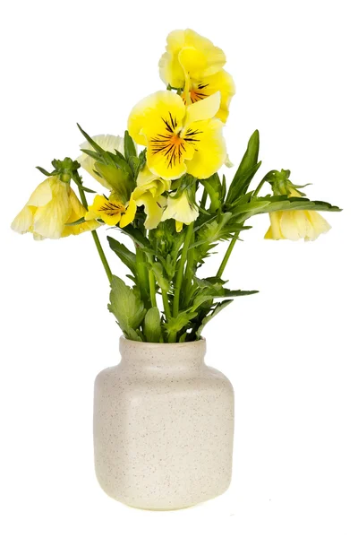 Minimalistic bouquet - yellow Pansies — Stock Photo, Image