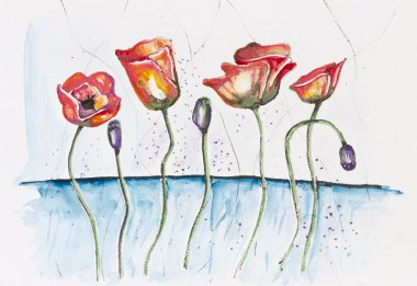 mutlu kırmızı haşhaş