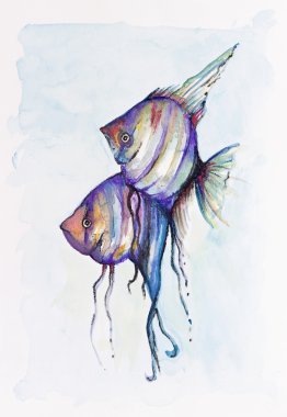 Kızıl Deniz kelebek balık