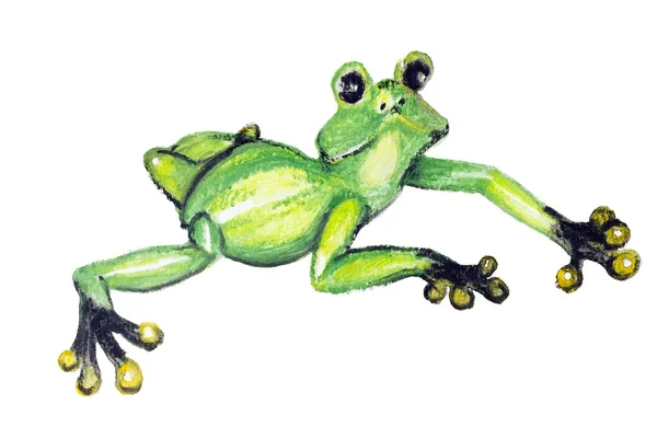 The green amphibian — Stock Photo, Image