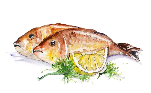 Dorado-Fische — Stockfoto