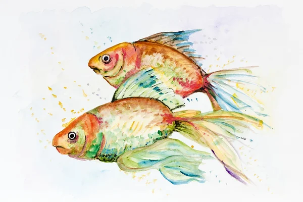 Сумно Золоті рибки — стокове фото