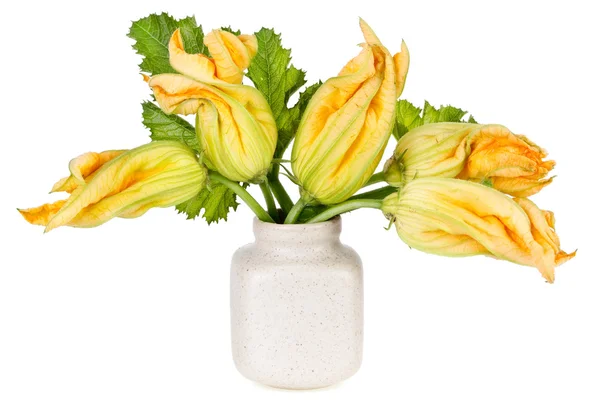 Minimalistyczne bukiet kwiaty squash cukinia — Zdjęcie stockowe