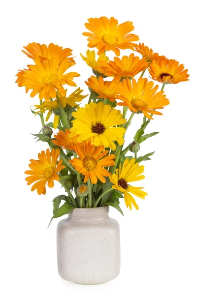 Orange färg blommig sammansättning — Stockfoto