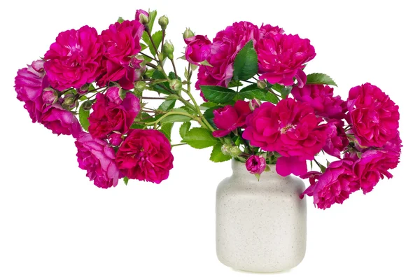 Minimalistisk blommig rosa sammansättning — Stockfoto